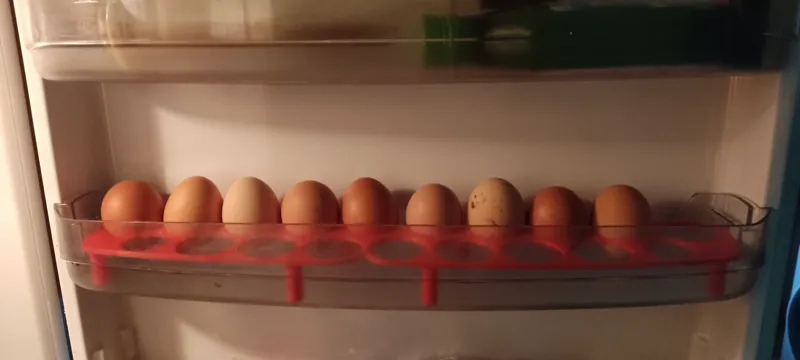 fridge egg holder