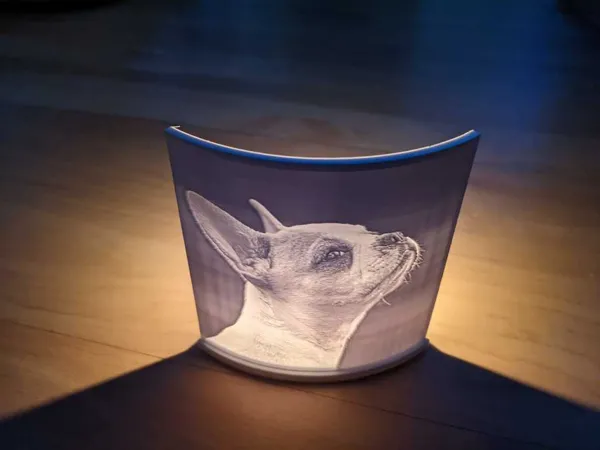 https://makerworld.bblmw.com/makerworld/model/DSM00000000097380/design/2023-12-18_yzl3d0gn8nlp.jpg