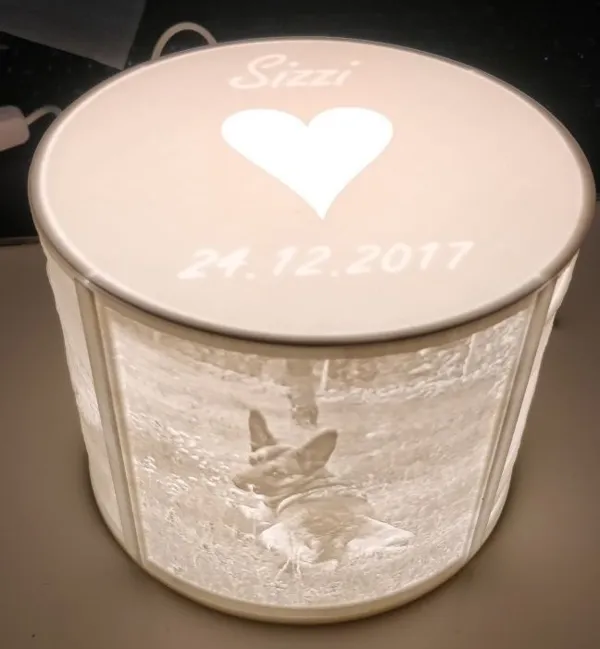 https://makerworld.bblmw.com/makerworld/model/DSM00000000097385/design/2023-12-18_qg71oh8kplt9.jpg