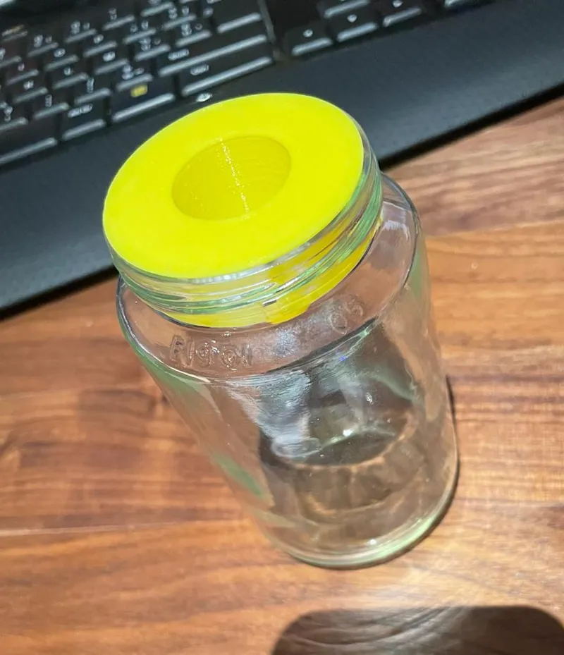 Olvarit fly trap