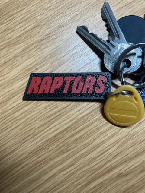 Raptors key ring
