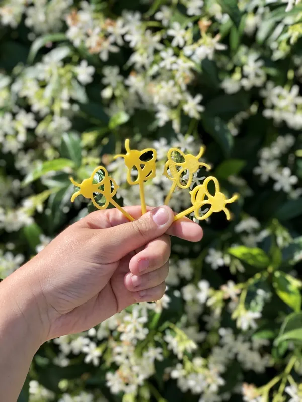 https://makerworld.bblmw.com/makerworld/model/DSM00000000101785/design/2023-12-21_jo4edp7joyyb.jpg