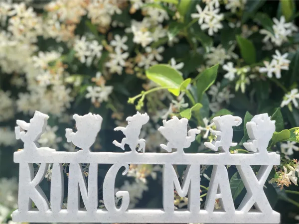 https://makerworld.bblmw.com/makerworld/model/DSM00000000101786/design/2023-12-21_pgn95d72i5ax.jpg