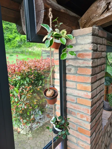 https://makerworld.bblmw.com/makerworld/model/DSM00000000103822/design/2023-12-23_pauhxuhxzv1h.jpg