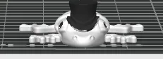 tophat lizard