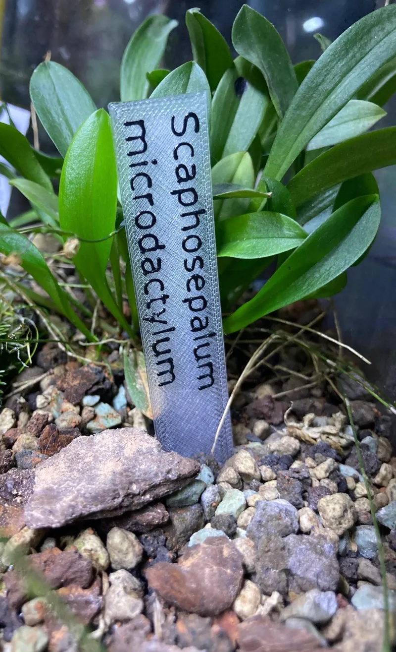 Plant label