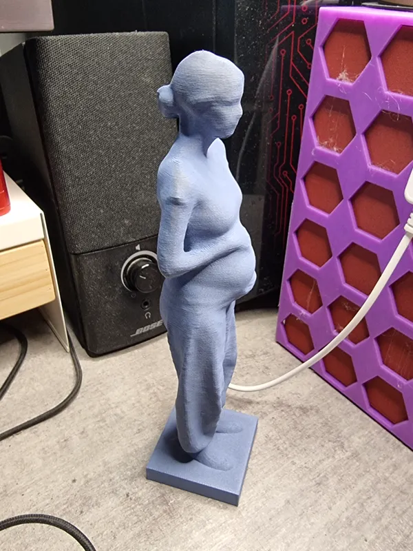 https://makerworld.bblmw.com/makerworld/model/DSM00000000114452/design/2024-03-18_02147576009.jpg
