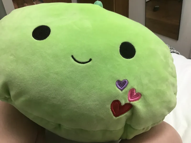Ez bed