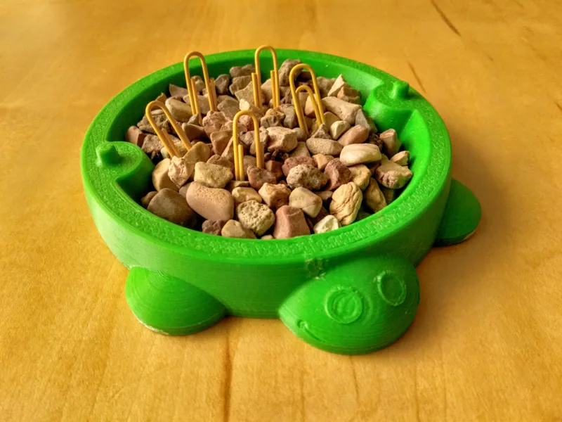 Turtle sandbox