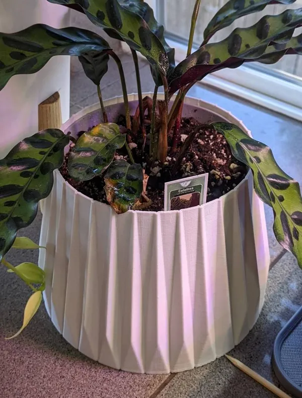 https://makerworld.bblmw.com/makerworld/model/DSM00000000123788/design/2024-01-05_zwco2ha2w2oe.jpg