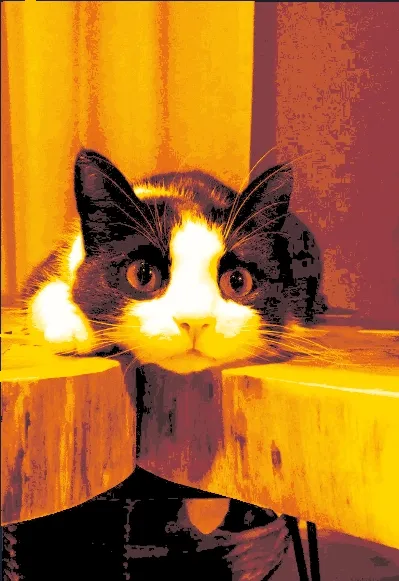 奶牛猫  HueForge #21172
