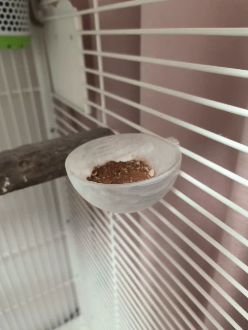鹦鹉食物盒子（bird food box）