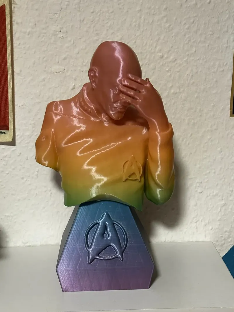 Facepalm Picard