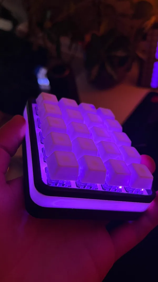 https://makerworld.bblmw.com/makerworld/model/DSM00000000130040/design/2024-01-08_a5926c6f875518.jpeg
