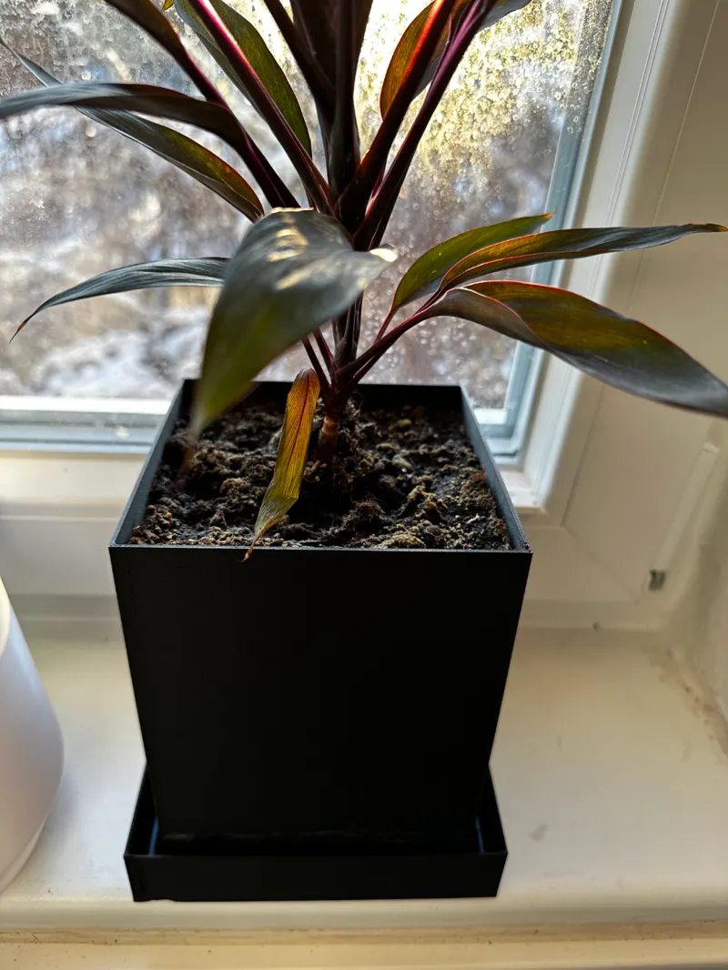 Square plant pot with integrated plate