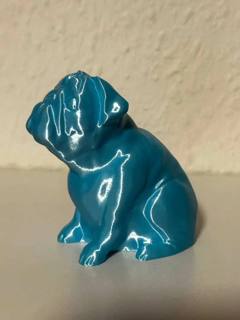 Josef Prusa's pug Buddy