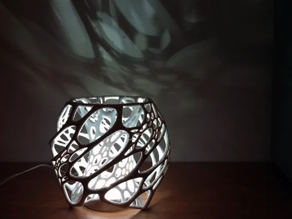 https://makerworld.bblmw.com/makerworld/model/DSM00000000130405/design/2024-01-08_743f74f254b868.jpeg