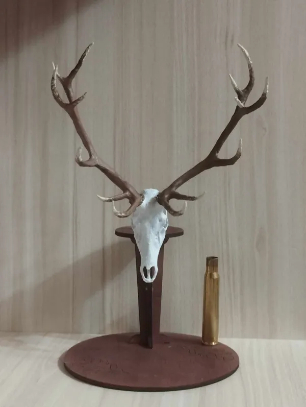https://makerworld.bblmw.com/makerworld/model/DSM00000000131224/design/2024-01-09_6e2dc272cfa0f.jpg