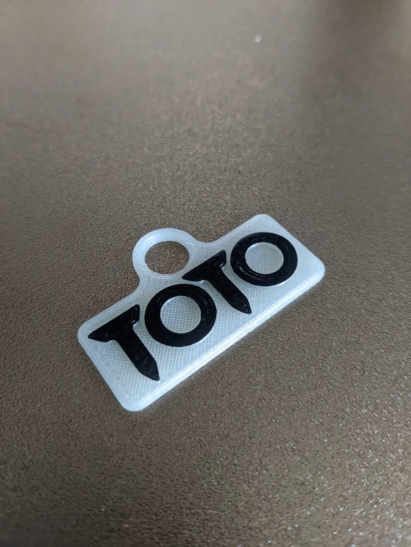 Toto keychain