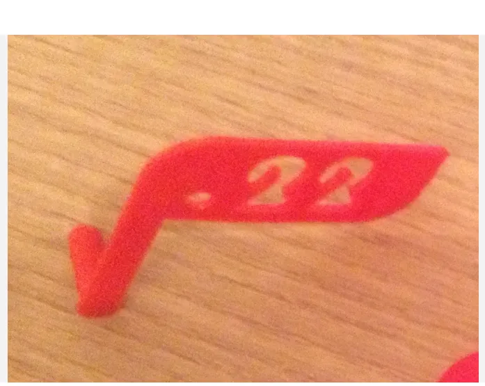.22 Chamber Safety Flag