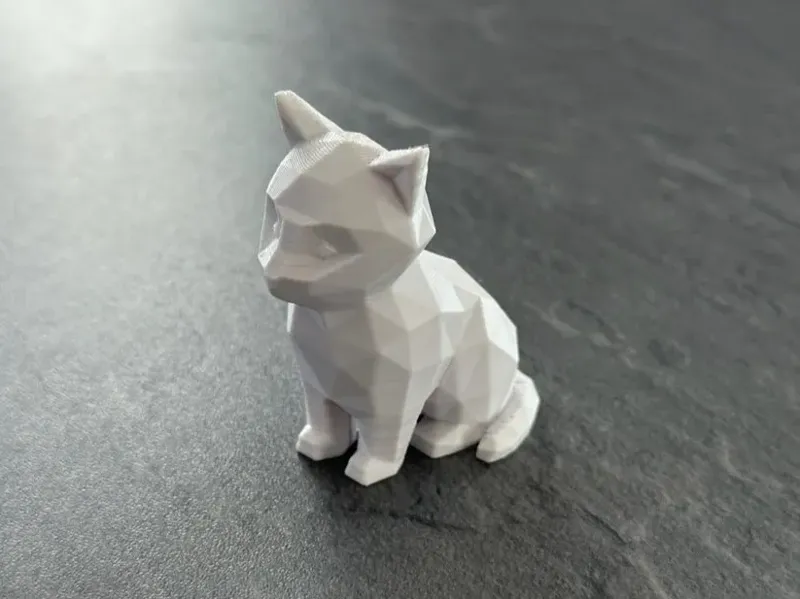 Poly cat