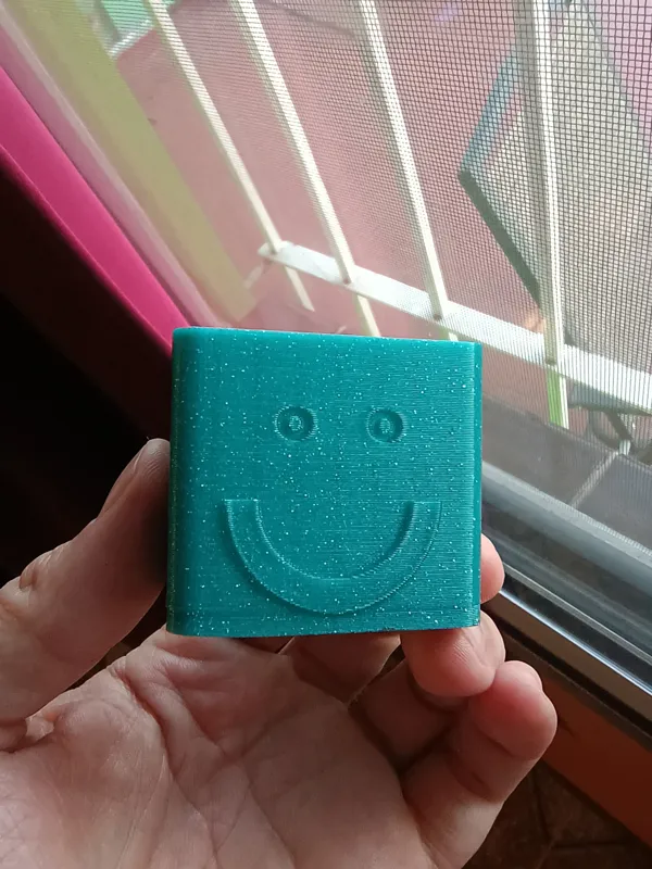 Smiley  Succulent Planter