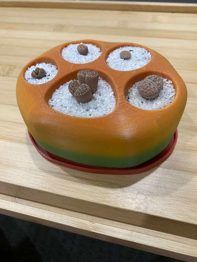 Cat paw planter water tray