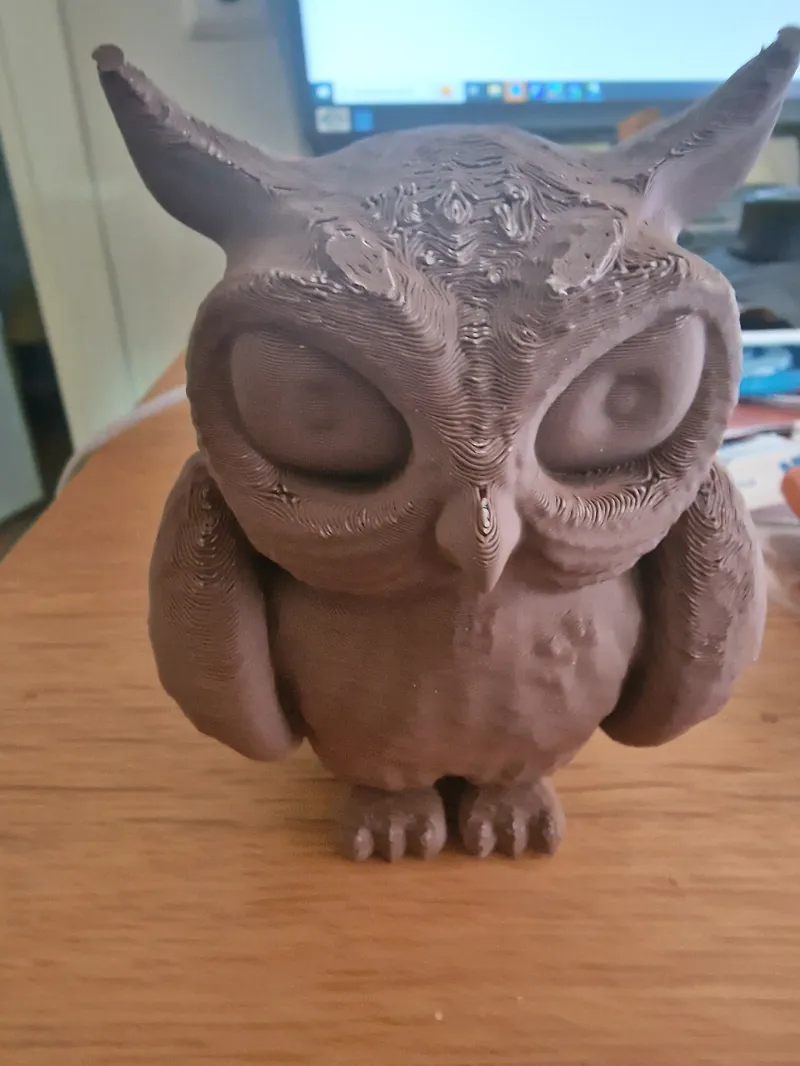 cartopon owl , 