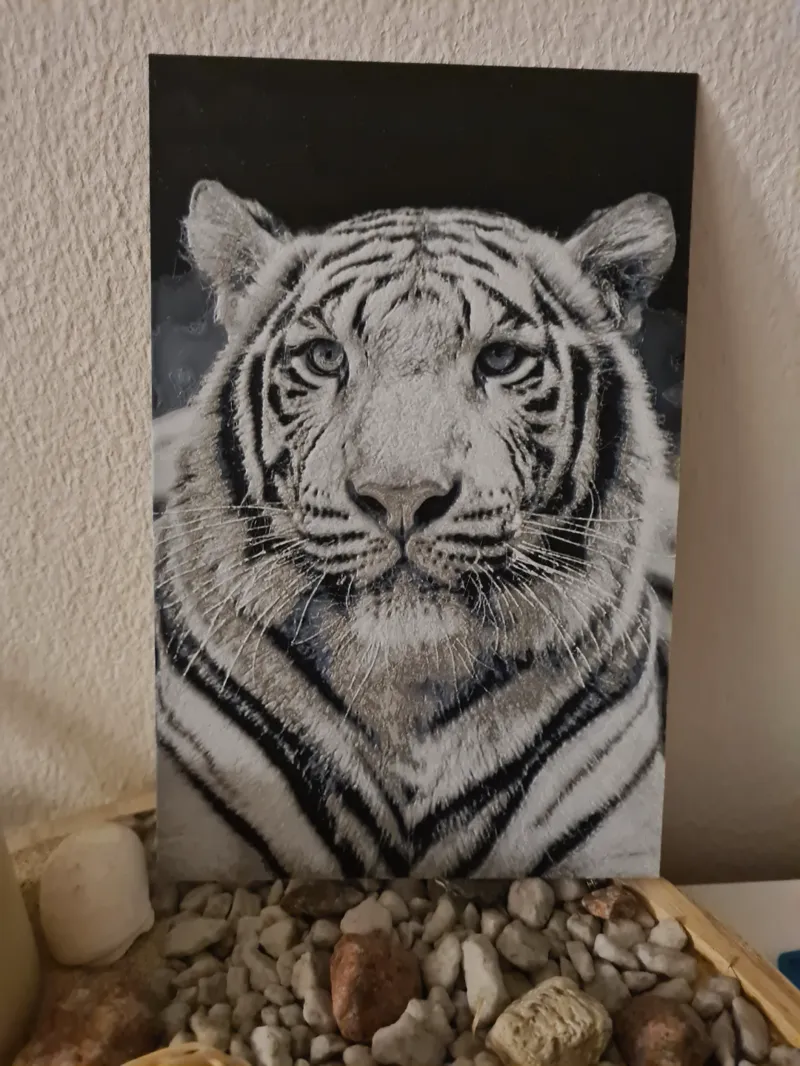 Hueforge White Tiger