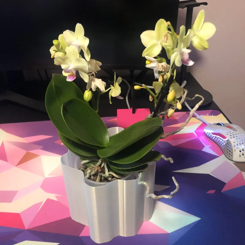 Organic Round Flower Pot
