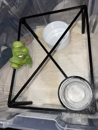 snake support with glass holder