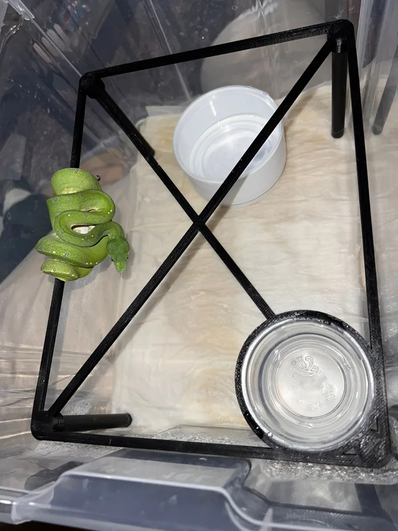 snake support with glass holder