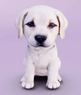 Labrador Puppy by Newk - MakerWorld