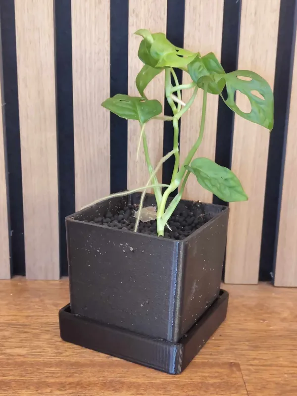 https://makerworld.bblmw.com/makerworld/model/DSM00000000139050/design/2024-01-14_4be1c136ff256.jpg