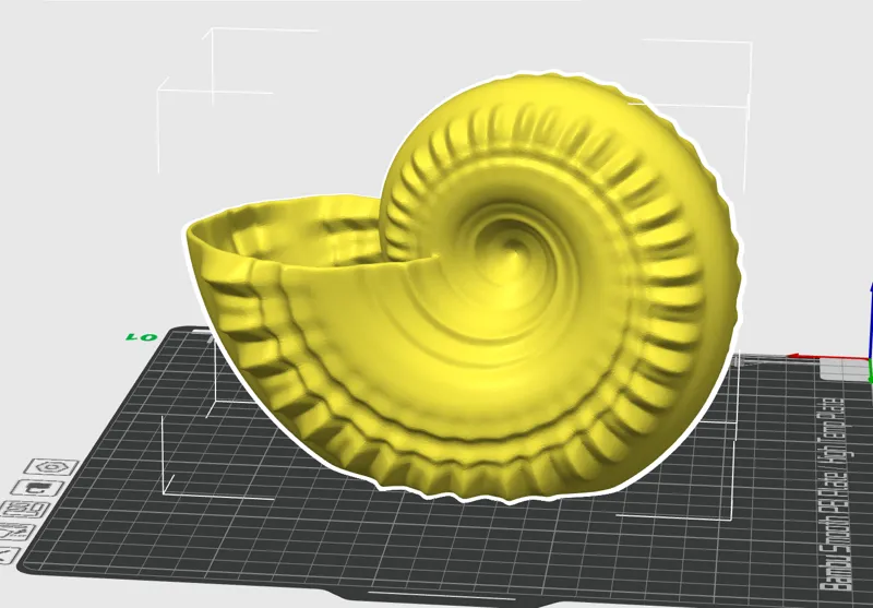 Shell vase