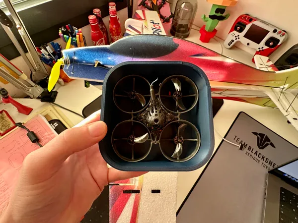 https://makerworld.bblmw.com/makerworld/model/DSM00000000140621/design/2024-01-15_fd98865c061e38.jpg