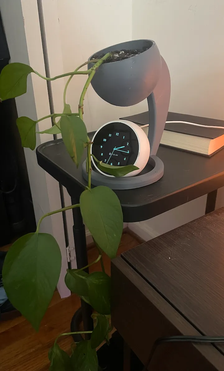Alexa Hanging Planter
