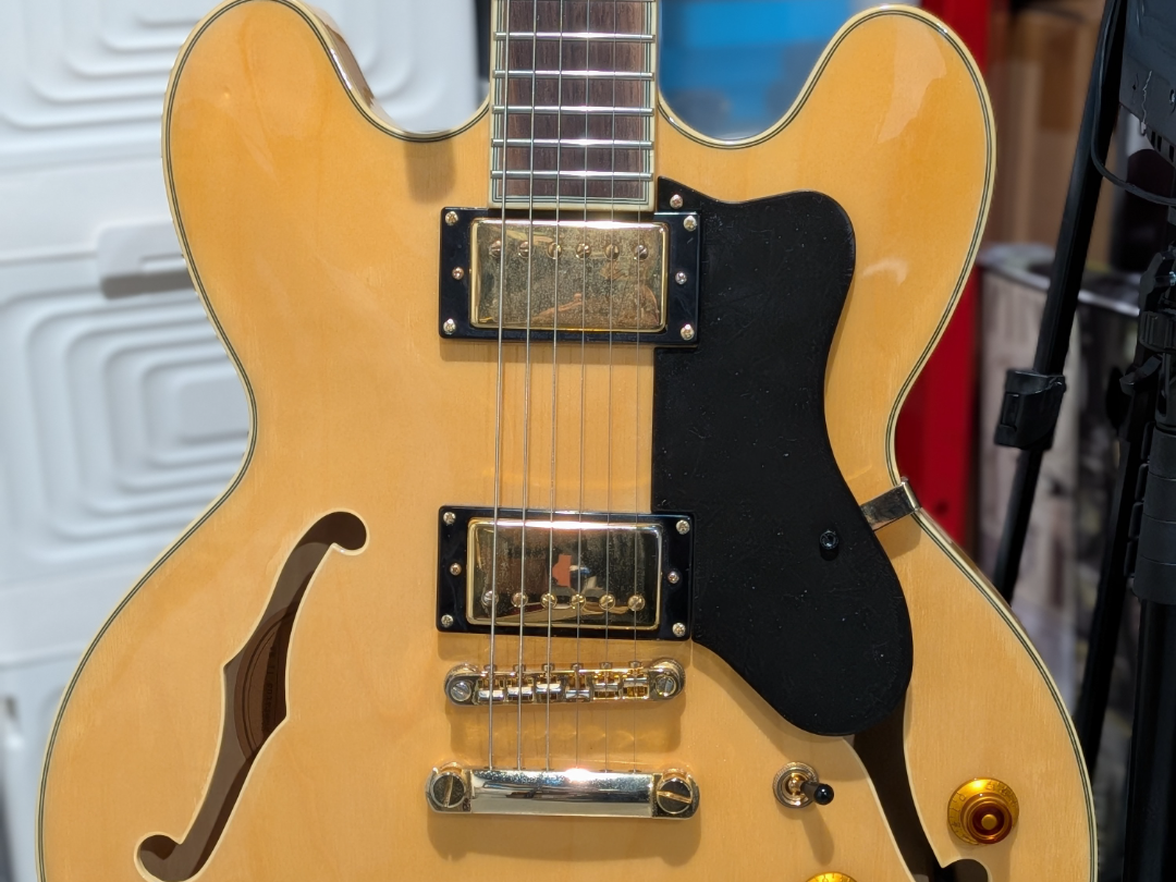 Epiphone Sheraton Guitar Pickguard - Blank