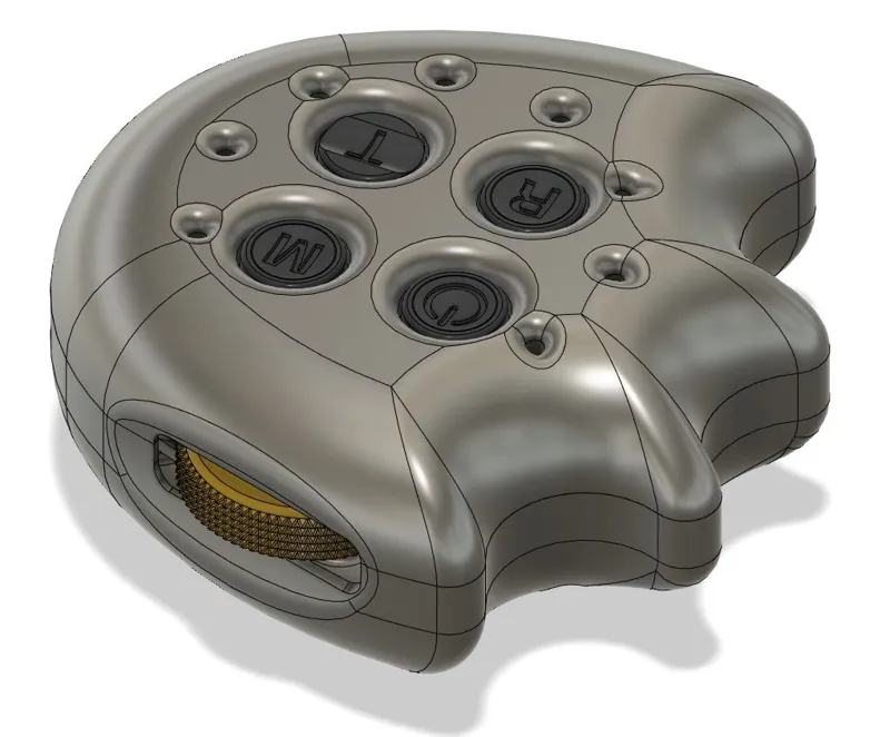 Bat Wing Case