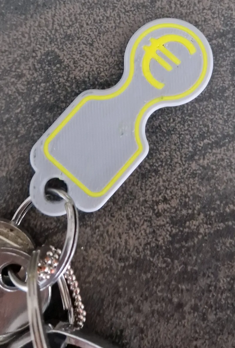 winkelkarsleutel_Shopping cart lock key