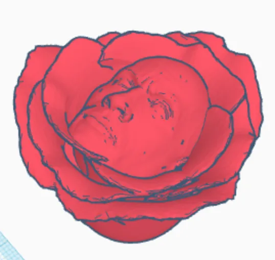https://makerworld.bblmw.com/makerworld/model/DSM00000000144511/design/2024-01-17_a8ef368fccf7b.png
