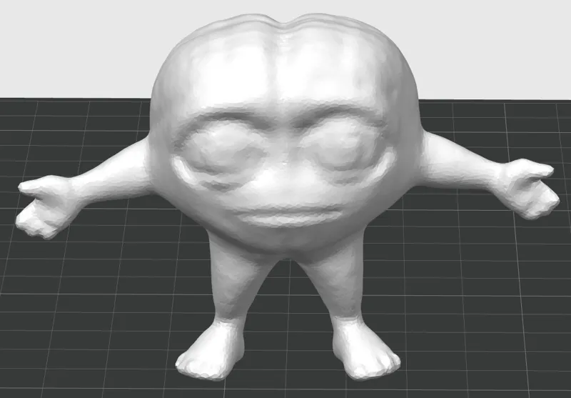 Brain