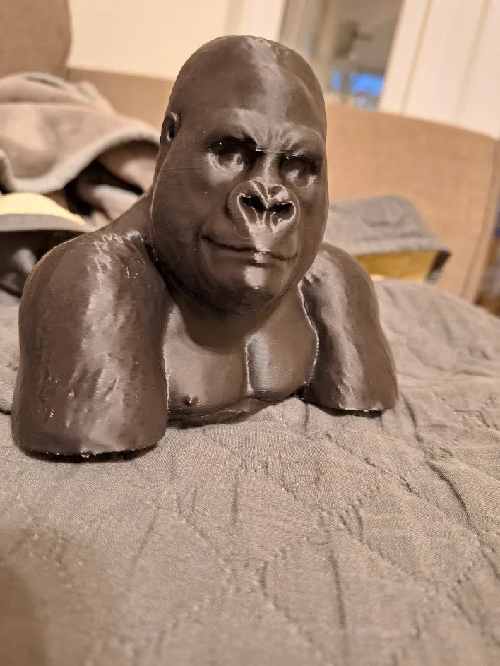 Gorilla