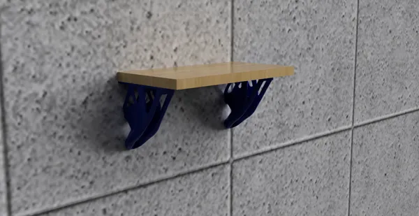 https://makerworld.bblmw.com/makerworld/model/DSM00000000147136/design/2024-01-19_fb989ba1c2292.png