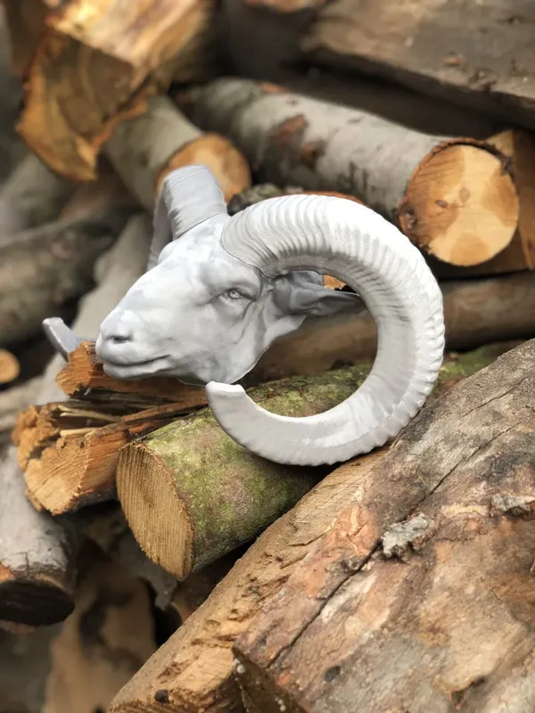 https://makerworld.bblmw.com/makerworld/model/DSM00000000148356/design/2024-01-20_58a84e0ef1fdf.webp
