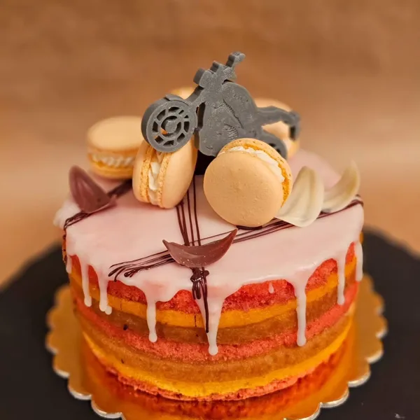 https://makerworld.bblmw.com/makerworld/model/DSM00000000149073/design/2024-01-21_jd5ks5a4sbzn.jpeg