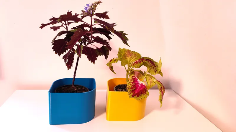 Pot