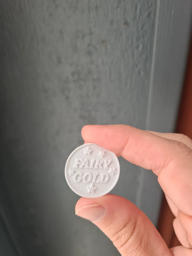 Fairy Gold Coin