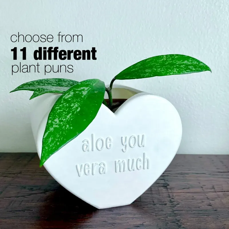 Valentine's Day Pun Heart Planter