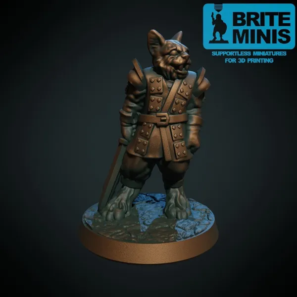 https://makerworld.bblmw.com/makerworld/model/DSM00000000153267/design/2024-01-23_tj28c0snkmwg.jpg
